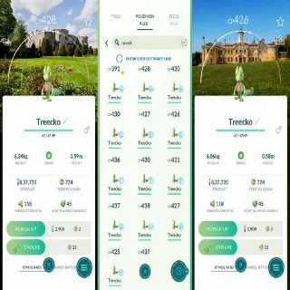 🔥 Pokémon GO Treecko bg