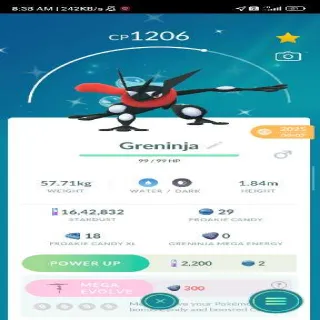 Shiny Greninja
