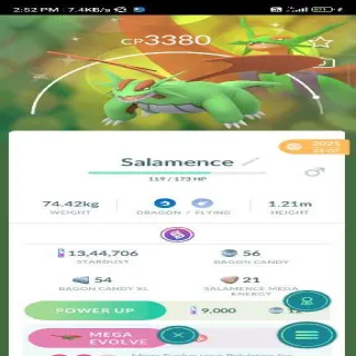 Shiny Salamence Pokemon Go