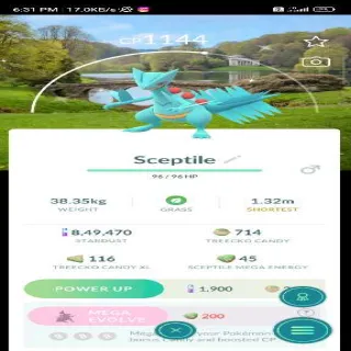 Sceptile ✨ Location bg