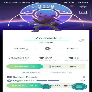 Shiny Zoroark With Background