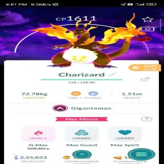 SPECIAL BACKGROUND GIGANTAMAX CHARIZARD