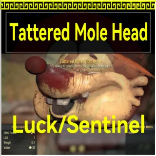 Tattered Mole Head Luck/Sentinel