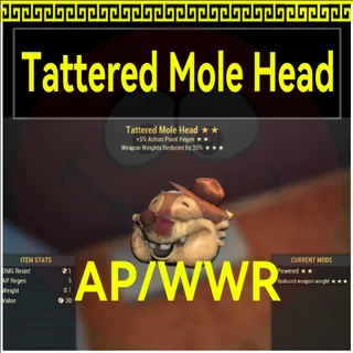 Tattered Mole Head AP/WWR