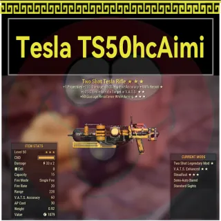 Tesla Rifle TS50hc/Aimi