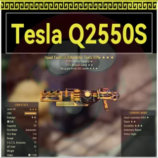 Tesla Rifle Q2550BS