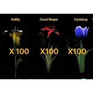 Flowers Bundle・x100 Radlily・x100 Crystalcup・x100 Carnal Weeper