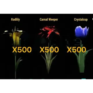 Flowers Bundle・x500 Radlily・x500 Crystalcup・x500 Carnal Weeper