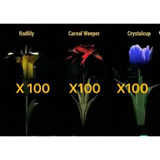 [PC]Flowers Bundle・x100 Radlily・x100 Crystalcup・x100 Carnal Weeper