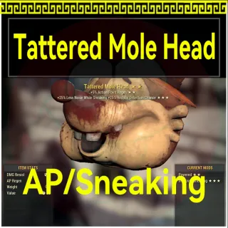 Tattered Mole Head AP/Sneaking