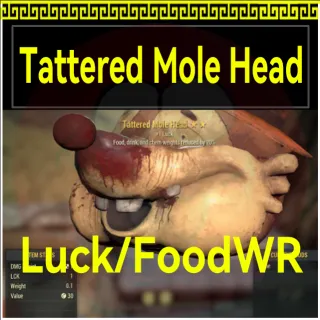 Tattered Mole Head Luck/FoodWR