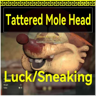 Tattered Mole Head Luck/Sneaking