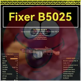 Weapon | Fixer B5025