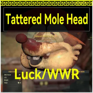 Tattered Mole Head Luck/WWR