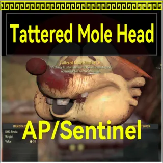 Tattered Mole Head AP/Sentinel