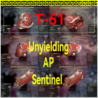 set T-51 Uny/ap/sent