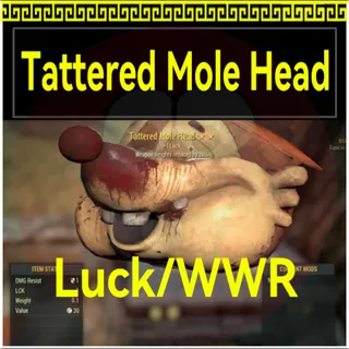 [PC]Tattered Mole Head Luck/WWR