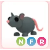 NFR RAT NEON FLY RIDE