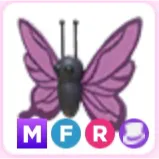 Mfr Purle Butterfly