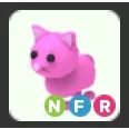 NFR PINK CAT NEON