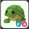 FR TURTLE FLY RIDE