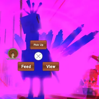 Rainbow Peacock 78kg