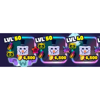 SBTD | Snow Sponge Bundle