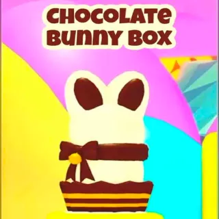 2x Chocolate Bunny Box