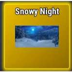 Snowy Night | Basketball Legends
