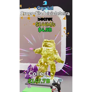 Crocodila Bicicleteira