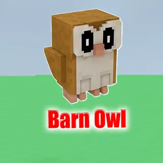 Barn Owl