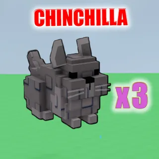 Chinchilla