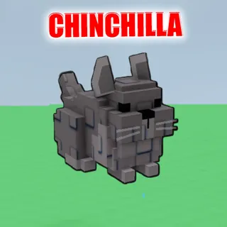 Chinchilla