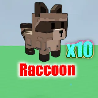 RACCOON