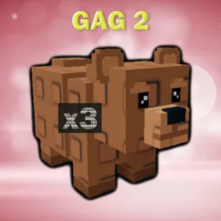 Bear