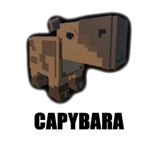 Capybara