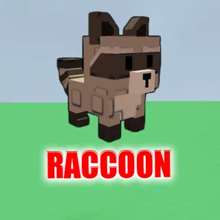 RACCOON