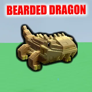 Bearded Dragon