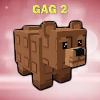 Bear