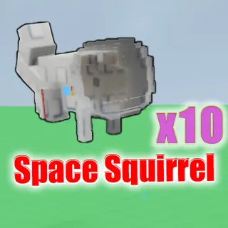 Space Squirrel