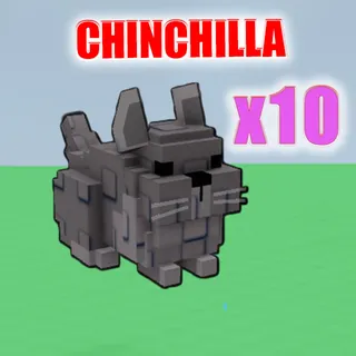 Chinchilla