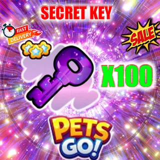 SECRET KEY X100 PETS GO