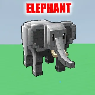 Elephant