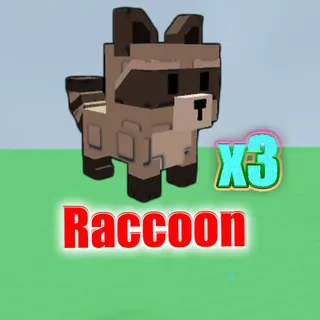 RACCOON