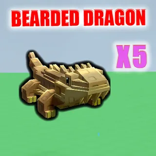 Bearded Dragon