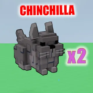 Chinchilla