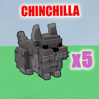 Chinchilla