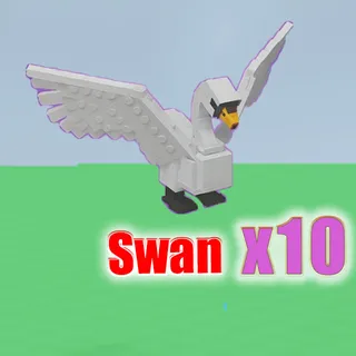 Swan