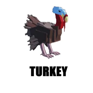 Turkey