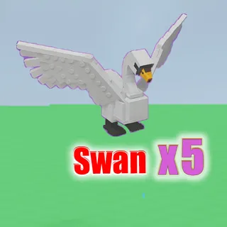 Swan